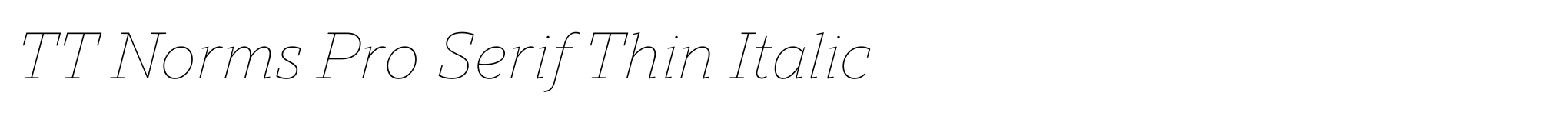 TT Norms Pro Serif Thin Italic image